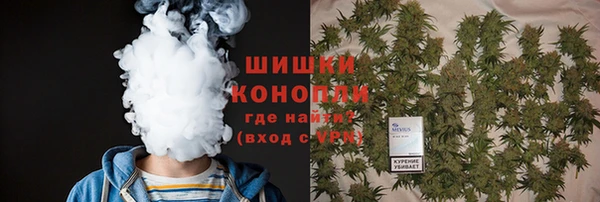 ECSTASY Армянск