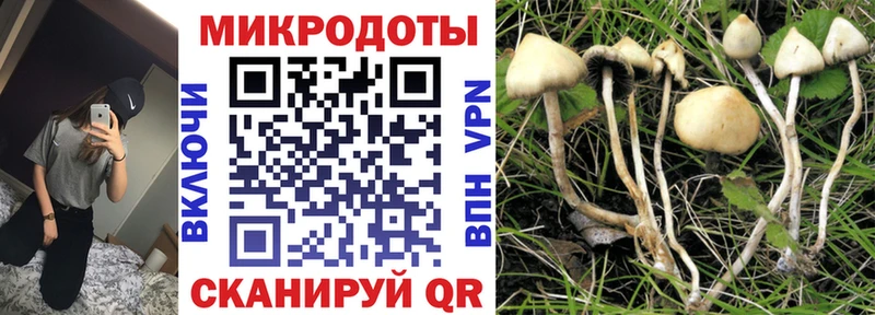купить  цена  Оханск  Псилоцибиновые грибы Psilocybe 